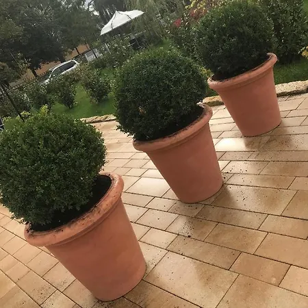Apartmán Florentine - #126657 Bad Liebenstein